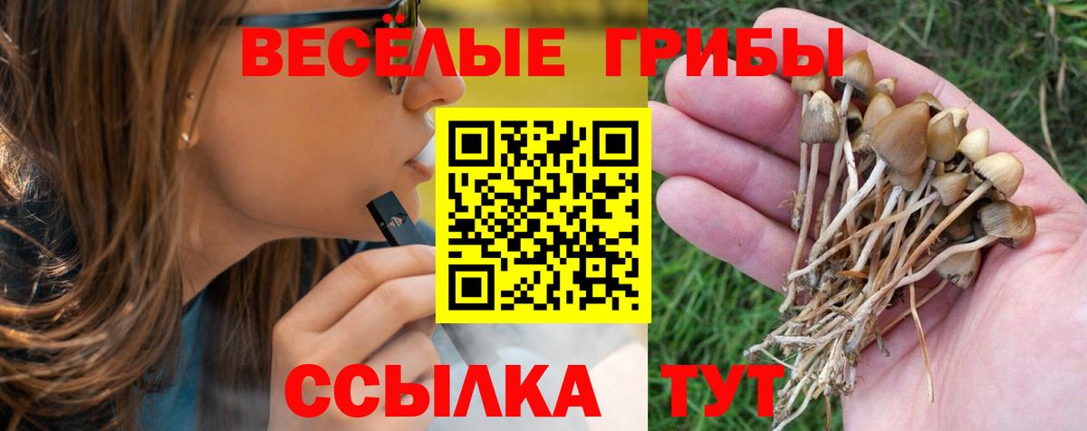 купить   Галлюциногенные грибы прущие грибы  Вход с VPN  Грозный 